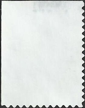 # 3998 USED WEDDING DOVES