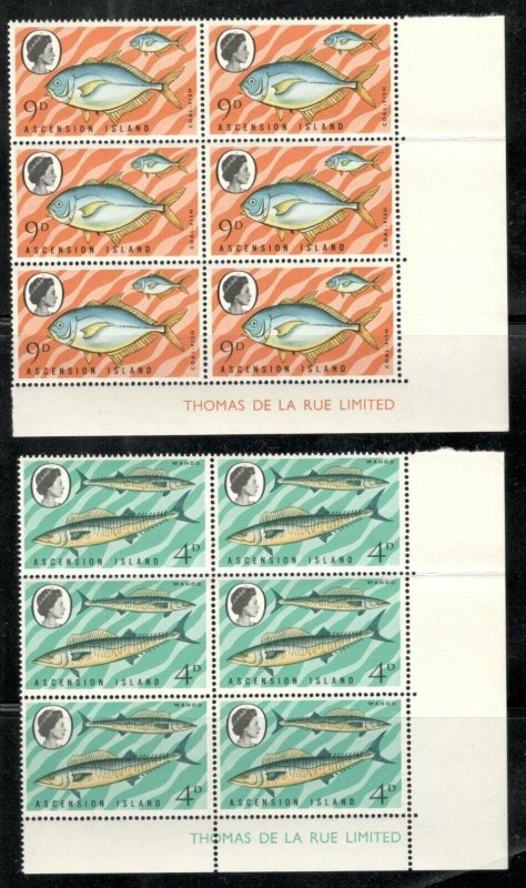 Ascension Island 4 Blocks of 6 SC #'s 130-133 Fish Types of 1968 