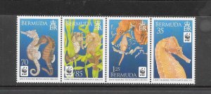 BARBADOS #1010-13 SEAHORSES WWF MNH