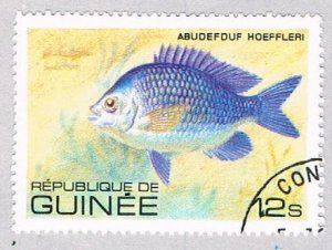 Guinea 805 Used Fish 1980 (BP47804)