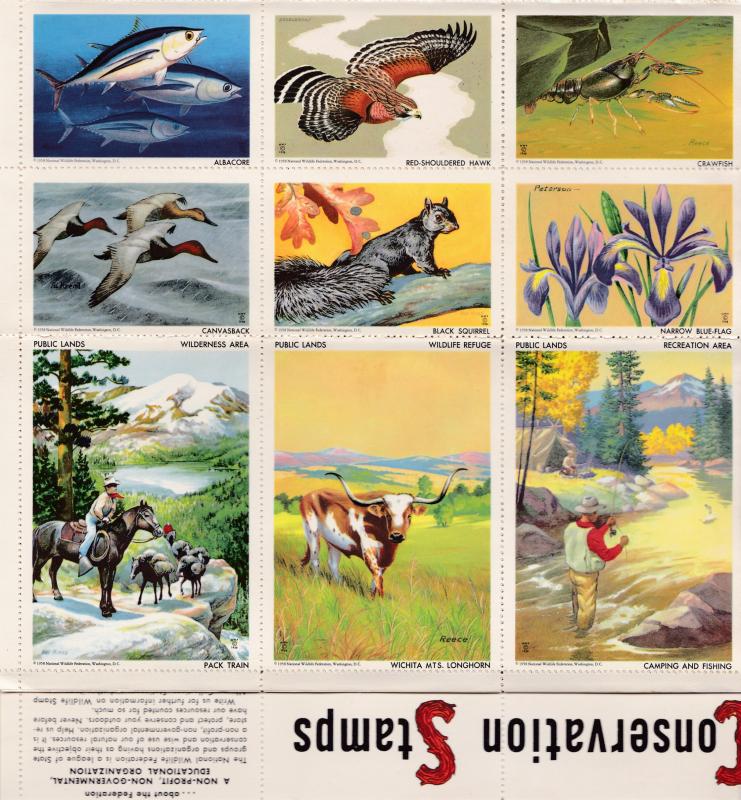 U.S. National Wildlife Federation Sheet of 36 Colorful Wildlife Card Labels VF