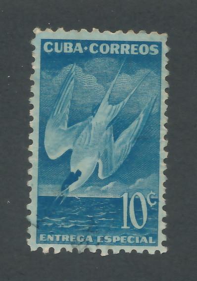Cuba 1953 Scott E18 used - 10c, Roseate tern, Bird