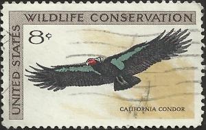 # 1430 USED CALIFORNIA CONDOR