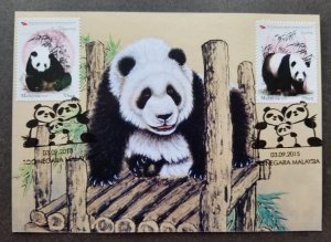 Malaysia China Cooperative Panda 2015 Zoo maxicard) *concordance Zoo PMK *rare