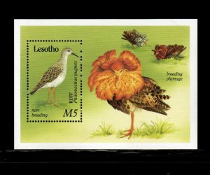 Lesotho 1989 - Birds - Souvenir Stamp Sheet - Scott #730 - MNH