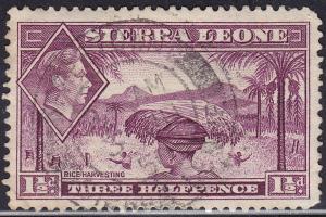 Sierra Leone 175A USED 1941 Rice Harvesting