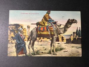 1908 Turkey Ottoman Empire Postcard Cover Damas to Unknown Country Camel Rider