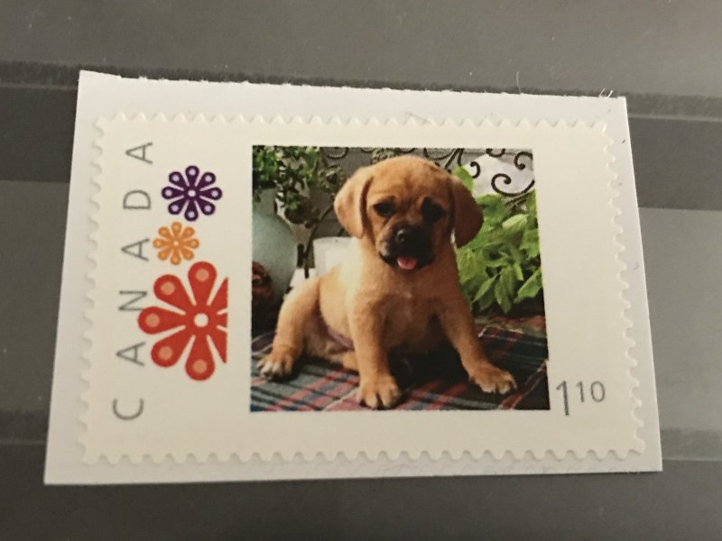 Canada Post Picture Postage * Puppy Dog *  *$1.10* denomination