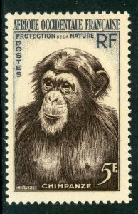 French Colony 1955 French West Africa Chimpanzee Sc #62  MNH H314 ⭐⭐