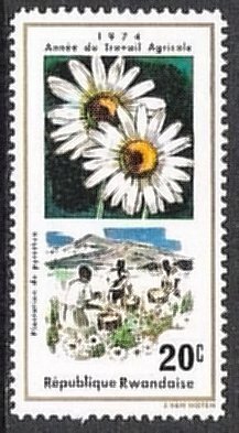 Rwanda #632  Pyrethrum Flower  1975  MNH