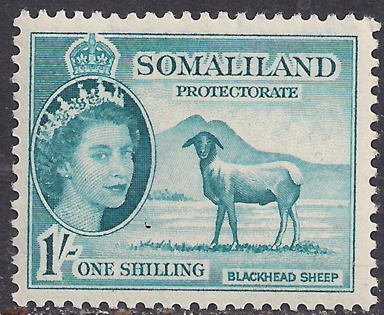 Somaliland 1953 - 58 QE2 1/-d Light Blue MM SG 144 ( R1029 )