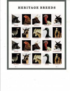 Heritage Breeds Animals 60cent US Postage Sheet 5583-92 VF MNH