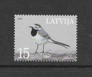 BIRDS - LATVIA #577 MNH