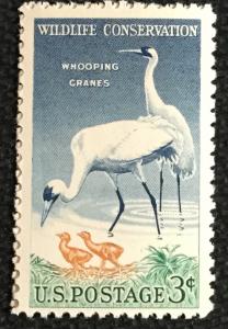 US #1098 MNH Single Wildlife Conservation Whooping Cranes SCV $.25 L4