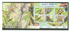 Jersey #1434a/1435  Single (Complete Set)