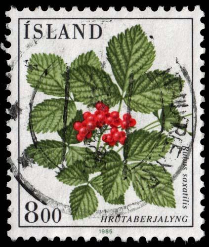 Iceland - Scott 602 - Used