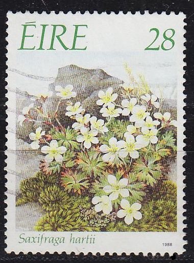 IRLAND IRELAND [1988] MiNr 0655 ( O/used ) Pflanzen