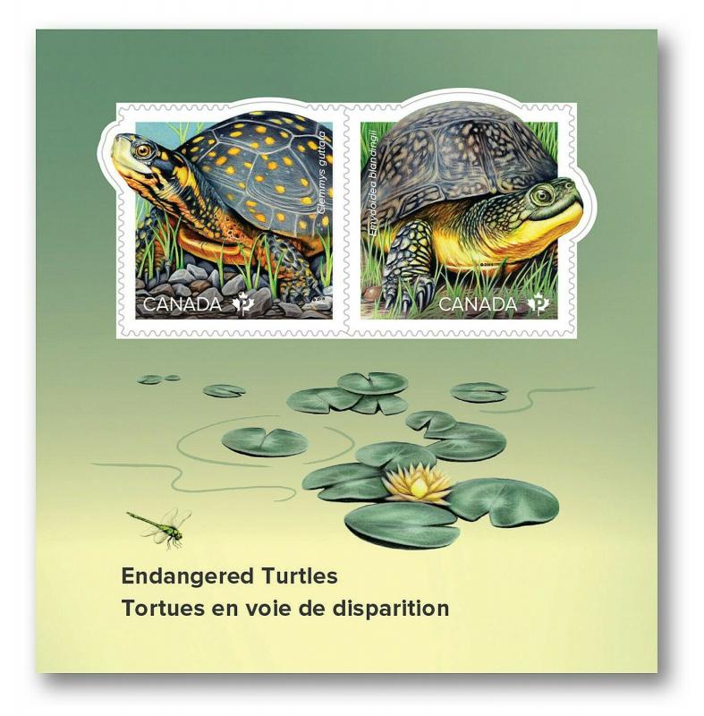 New! TURTLE = ENDANGERED species = Souvenir Sheet of 2 stamps MNH-VF Canada 2019