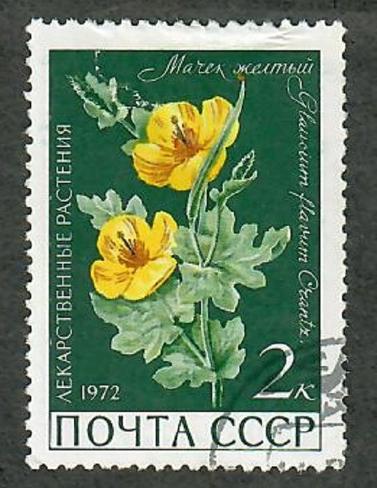 Russia 3954 Medicinal Plants used single