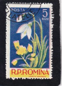 Romania   #      1112      used