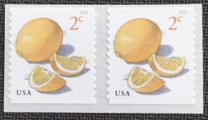 US #5256 MNH Coil Pair Lemons