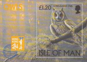 Isle of Man # 733, Owls,  NH, Half Cat