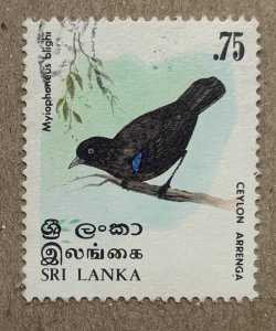 Sri Lanka 1979 75c Bird, used. Scott 566, CV $0.25. SG 686