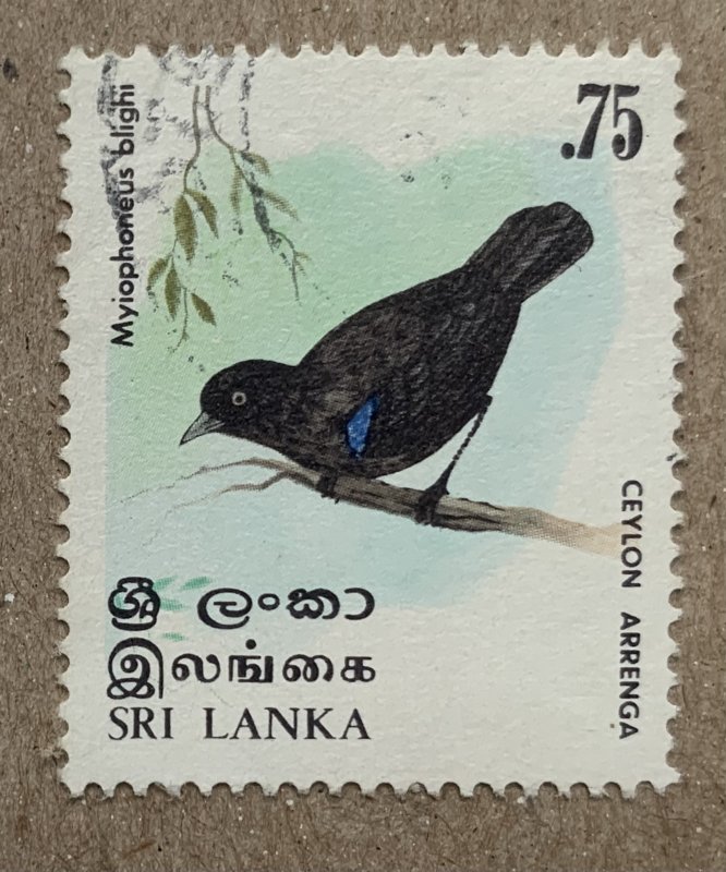 Sri Lanka 1979 75c Bird, used. Scott 566, CV $0.25. SG 686