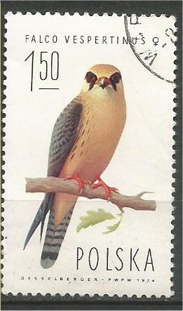 POLAND 1975, used 1.50z,.Falcon Scott 2077