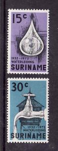 Suriname-Sc#395-6-unused NH set-Water Works-1972-