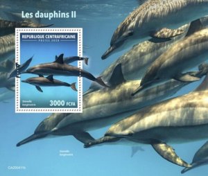 Central Africa - 2020 Spinner Dolphins - Stamp Souvenir Sheet - CA200411b