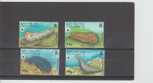 British Indian Ocean Territory  Scott#  361-364  MNH  (2008 Sea Cucumbers)