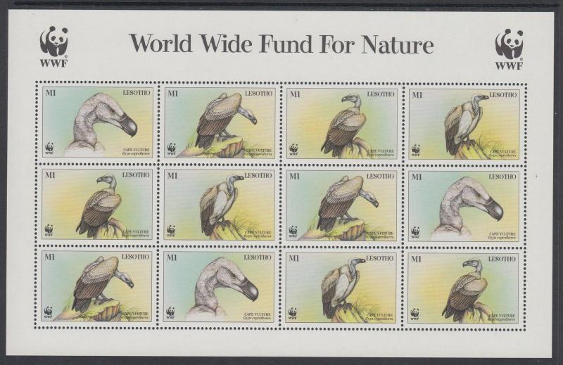 XG-BA211 LESOTHO - Wwf, 1998 Birds, Cape Vulture MNH Sheet