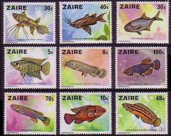 1978 Zaire 548-556 Sea fauna 13,00 €