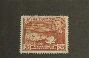 8910   Br Guiana   Used # 241   Victoria Regia Lilies         CV$ 40.00