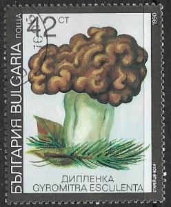 Bulgaria # 3601 - Mushrooms : Gyromitra - CTO - HR