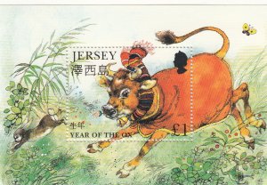 Jersey 1997 Year Of Ox - NHM