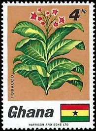 GHANA   #331 MNH (1)