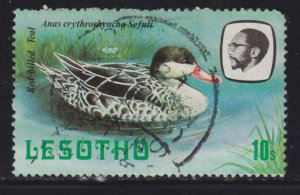 Lesotho 327 Red-Billed Teal 1981