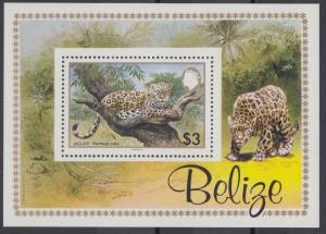 XG-AD841 BELIZE - Wild Animals, 1983 Felines, Jaguar, Wwf MNH Sheet