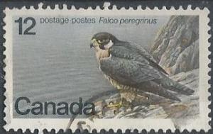 Canada 752 (used) 12c peregrine falcon