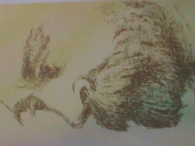 ​CENTRAL AFRICA-1977-PROMOTION-NOBEL PRICE WINNER-CTO FANCY CANCEL S/S VF-$5