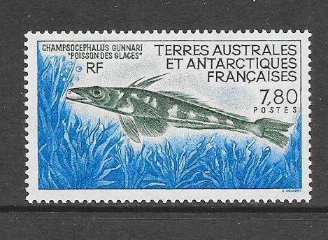 FISH - FRENCH SOUTHERN ANTARCTIC TERRITORY #164  MNH