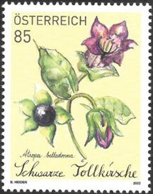 Scott # Bonus stamp MNH