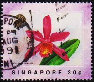 Singapore. 1991 30c S.G.661  Fine Used