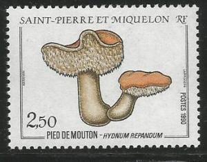 ST. PIERRE & MIQUELON 490, MNH STAMP, MUSHROOM, HYDNUM REPANDUM