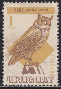 Uruguay 751 Great Horned Owl 1966