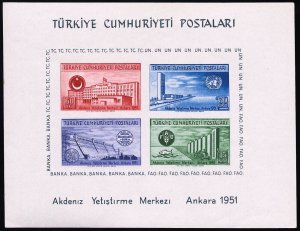 Turkey Stamps # 1054a MNH XF Souvenir Sheet Scott Value $95.00