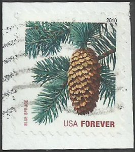 # 4485 USED BLUE SPRUCE