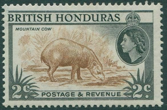 British Honduras 1953 SG180a 2c brown and black Mountain Cow MLH